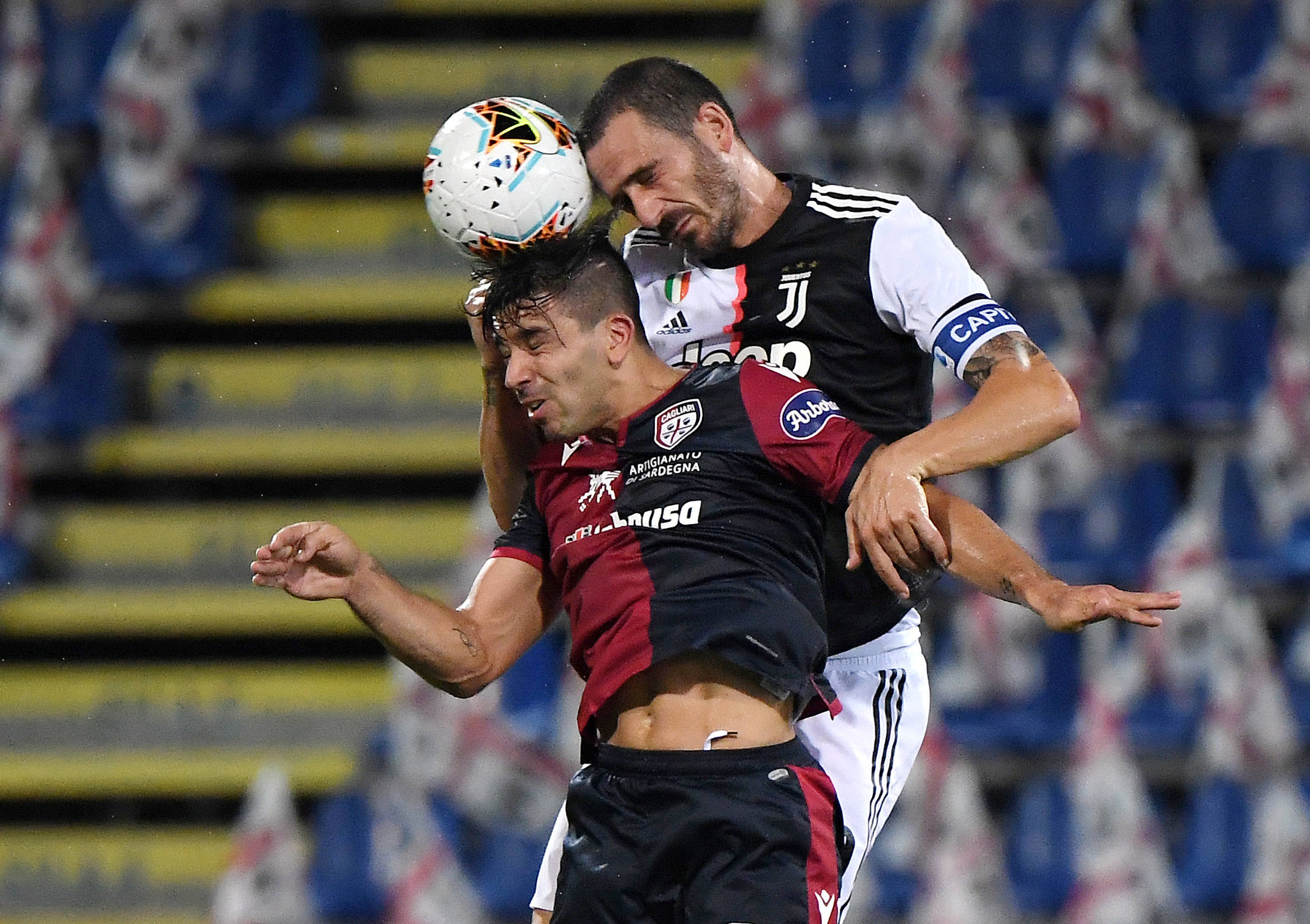 拥有了多样 拥有了多样