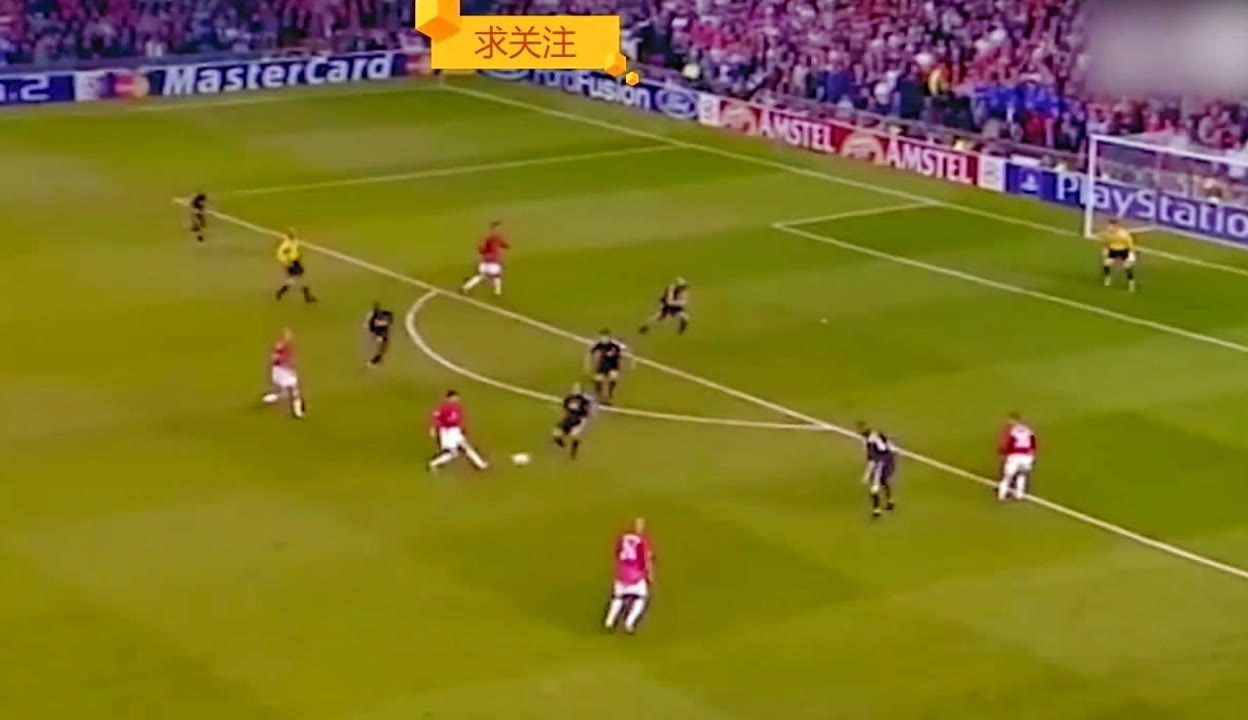 正是他们进 正是他们进